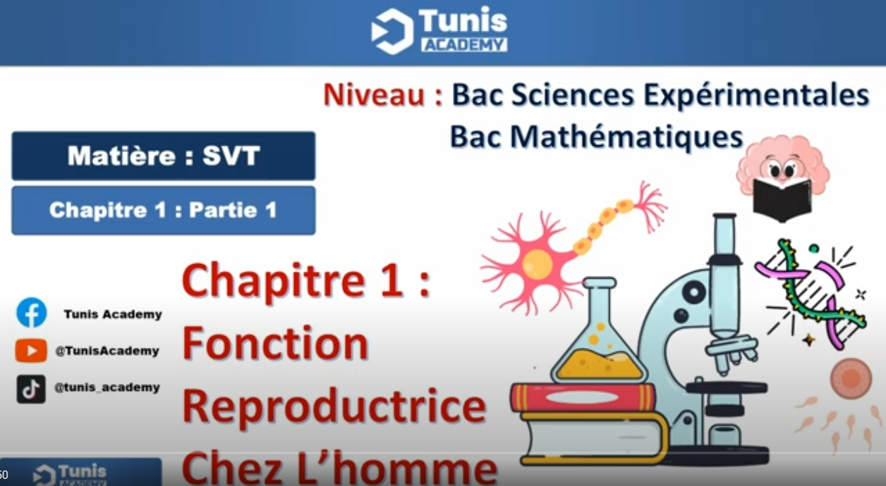 Bac science : fonction reproductrice chez la homme partie 1
