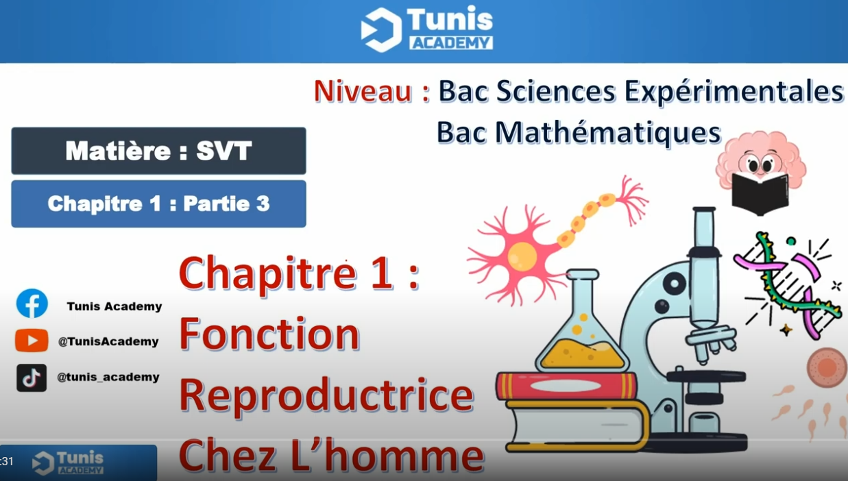 Bac science : fonction reproductrice chez la homme  partie 3